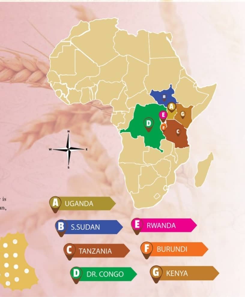 Global Map
